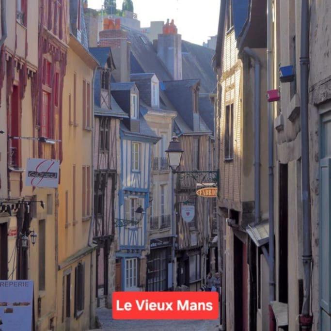 Le Cosy De La Faniere Holiday home Yvre-l'Eveque