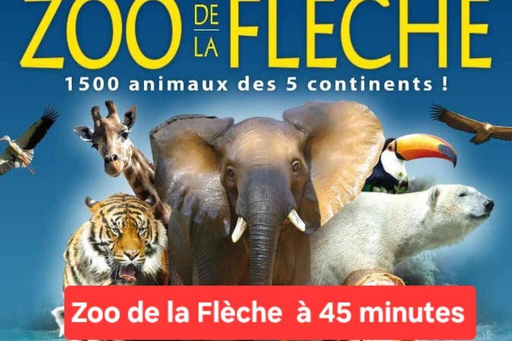 Le Cosy De La Faniere Yvre-l'Eveque